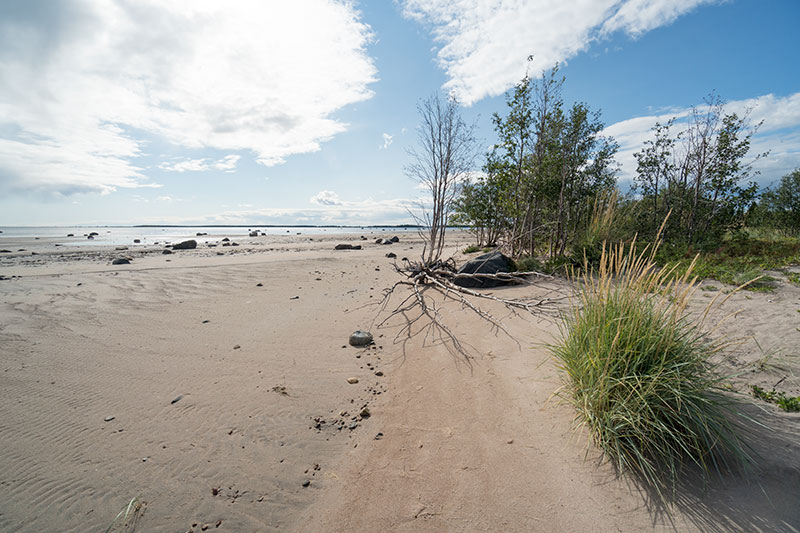 Sandöörarna naturreservat i Luleå skärgård