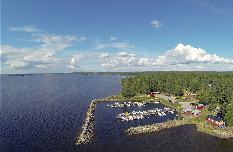 Björnholmen i Kalix