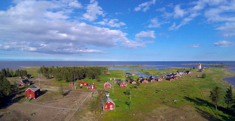 Rödkallen i Luleå skärgård