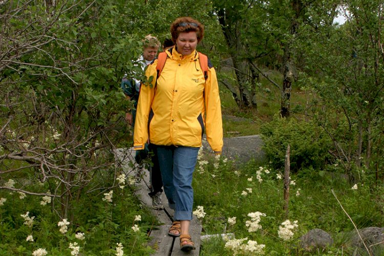 Bottenvikens nationalpark ligger i?