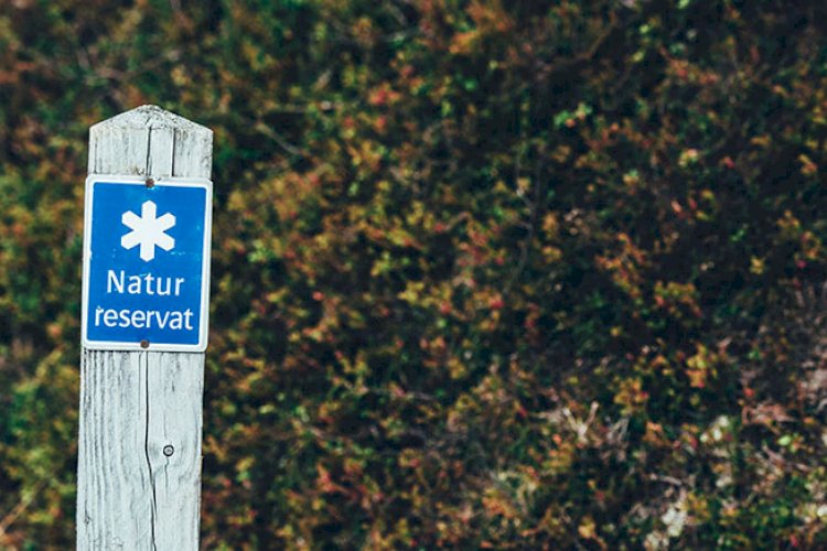 Hur många naturreservat finns totalt i Bottenvikens skärgårdar (Haparanda, Kalix, Luleå, Piteå och Skellefte)?